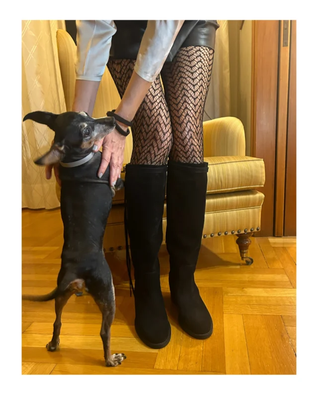 B O O T S  S e d u c t i o n

It’s Boots’ time
The ultimate R A N I A  K R O U P I  feminine luxury knee high boots  of A M A Z O N ‘ s collection will transform any outfit ultra elegant, luxury, qualitative, playful , comfy and dynamic ! 

Choose yours! Dare to reveal your inner Amazon!
https://www.raniakroupi.com/shop/?filters=product_cat%5B77%5D

Free shipping in Greece & Europe 
Subscribe in our newsletter and get 10% off

or visit  Atelier RANIA KROUPI 
Hrakleitou 16  Kolonaki Athens

#greekdesigners